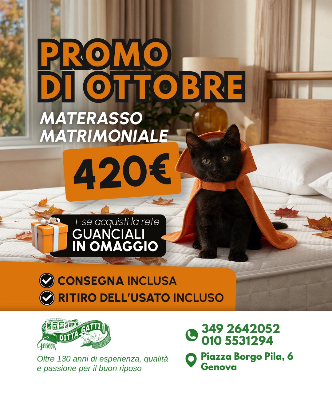 gatti materassi (1) (1)